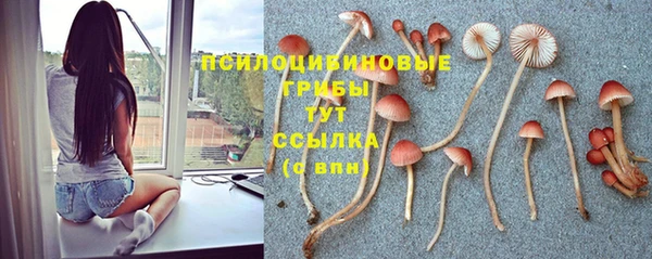 мескалин Алексеевка