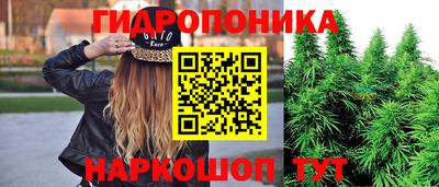 индика Аргун