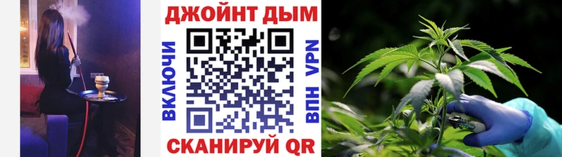 Конопля гибрид  Белгород 